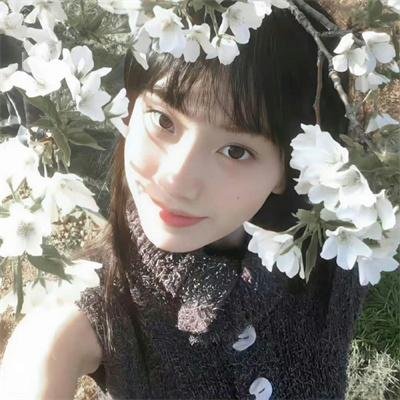 森林的黑暗心脏